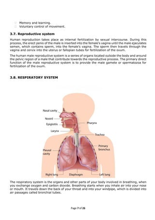 Elementary First Aid(EFA)