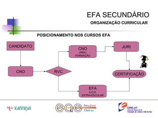 EFA SECUNDÁRIO ORGANIZAÇÃO CURRICULAR POSICIONAMENTO NOS CURSOS EFA CERTIFICAÇÃO RVC CANDIDATO CNO CNO (PRA) FORMAÇÃO EFA A.C.D. EXTRA-ESCOLAR JURI 