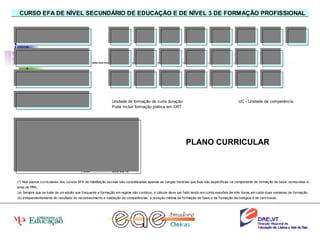 PLANO CURRICULAR 