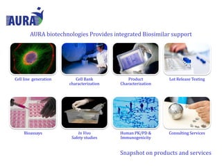 Cell line generation Cell Bank
characterization
Product
Characterization
Lot Release Testing
Bioassays In Vivo
Safety studies
Human PK/PD &
Immunogenicity
Consulting Services
AURA biotechnologies Provides integrated Biosimilar support
Snapshot on products and services
 