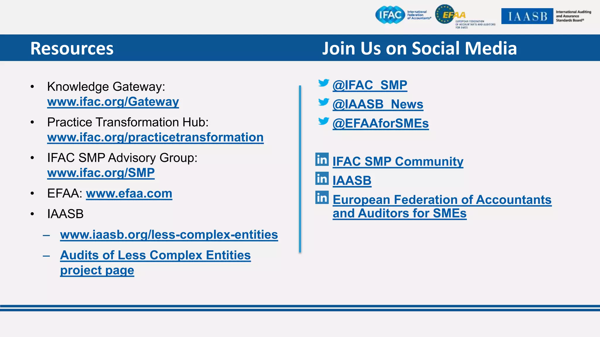 Audits of Less Complex Entities Update | PPTX