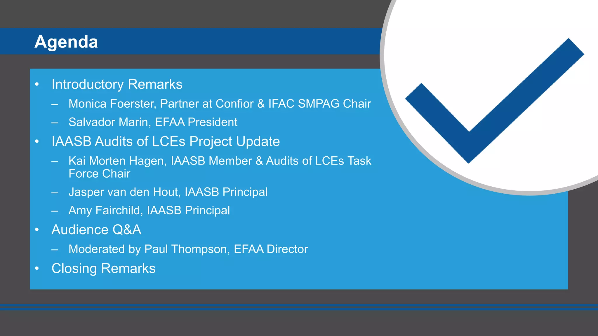 Audits of Less Complex Entities Update | PPTX