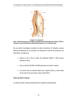 LA SOCIEDAD, LA EDUCACIÓN Y LAS PERSONAS QUE PRESENTAN DISCAPACIDADES
60
Imagen nº 2: tomada de
http://salud.discapnet.es/Castellano/Salud/Discapacidades/Discapacidades%20Neu
rologicas/Lesion%20Medula%20Espinal/Paginas/cover%20lesion.aspx
Es una lesión neurológica incurable en estos momentos. En España, aunque
todavía actualmente no se conocen con exactitud el número de personas con
esta lesión, se sabe que:
• Existe un 20 y 25 por millón de habitantes (8000 a 1000 nuevas
lesiones al año).
• Hay un total de 25.000 a 30.000 personas con lesión medular.
• La sufren más los hombres (80%) que mujeres (20%), y entre éstas
se da más en las que tienen mayor edad (35%).
Tipos de lesión medular
La clase de lesión medular dependerá tres aspectos fundamentales:
 