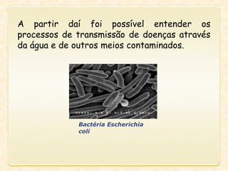 A partir daí foi possível entender os
processos de transmissão de doenças através
da água e de outros meios contaminados.
Bactéria Escherichia
coli
 