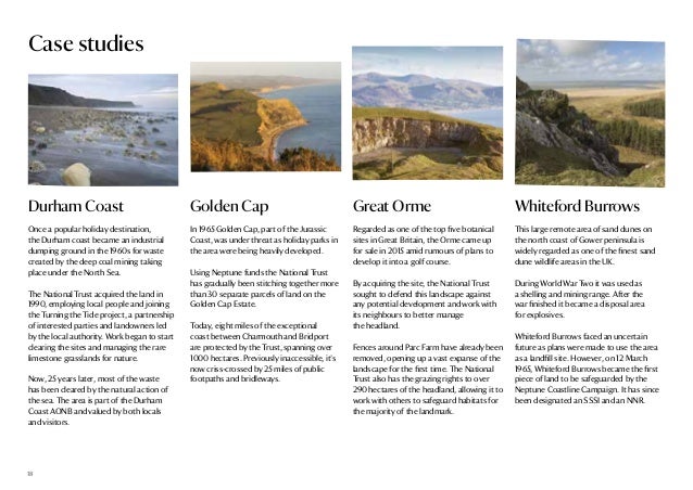 Should neptune launch a mass-market brand image