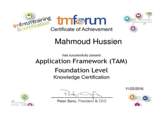 TAM - Foundation