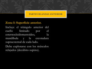 Zona I: Superficie anterior.
Incluye el triángulo anterior del
cuello limitado por el
esternocleidomastoideo, la
mandíbula y la escotadura
supraesternal de cada lado.
Debe explorarse con los músculos
relajados (decúbito supino).
PARTES BLANDAS ANTERIOR
 