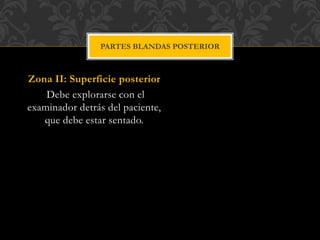 Zona II: Superficie posterior
Debe explorarse con el
examinador detrás del paciente,
que debe estar sentado.
PARTES BLANDAS POSTERIOR
 