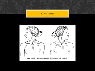 ROTACION
 