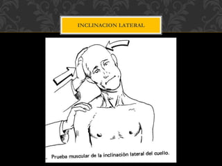 INCLINACION LATERAL
 