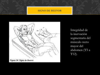 SIGNO DE BEEVOR
Integridad de
la inervación
segmentaria del
músculo recto
mayor del
abdomen (T5 a
T12).
 