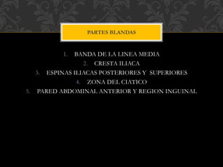 1. BANDA DE LA LINEA MEDIA
2. CRESTA ILIACA
3. ESPINAS ILIACAS POSTERIORES Y SUPERIORES
4. ZONA DEL CIATICO
5. PARED ABDOMINAL ANTERIOR Y REGION INGUINAL
PARTES BLANDAS
 