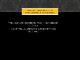 TRIANGULO FORMADO EIP EIS + HENDIDURA
GLUTEA
INSERTAN LIGAMENTOS SACROCIATICOS
MAYORES
ZONA III: ESPINAS ILIACAS
POSTERIORES Y SUPERIORES
 