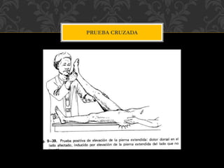 PRUEBA CRUZADA
 