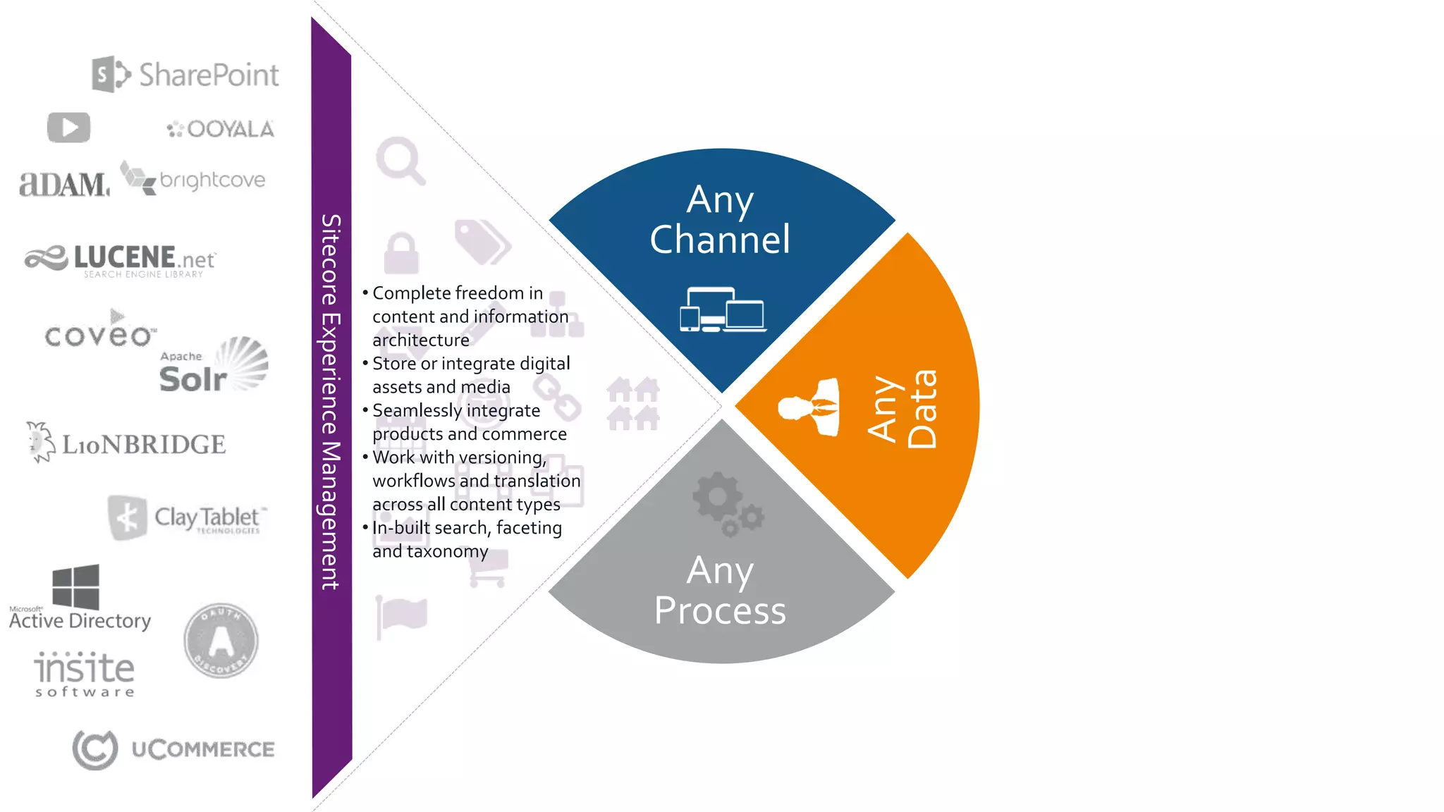 SitecoreExperienceManagement
Any
Channel
Any
Process
Any
Data
• Complete freedom in
content and information
architecture
• Store or integrate digital
assets and media
• Seamlessly integrate
products and commerce
• Work with versioning,
workflows and translation
across all content types
• In-built search, faceting
and taxonomy
 