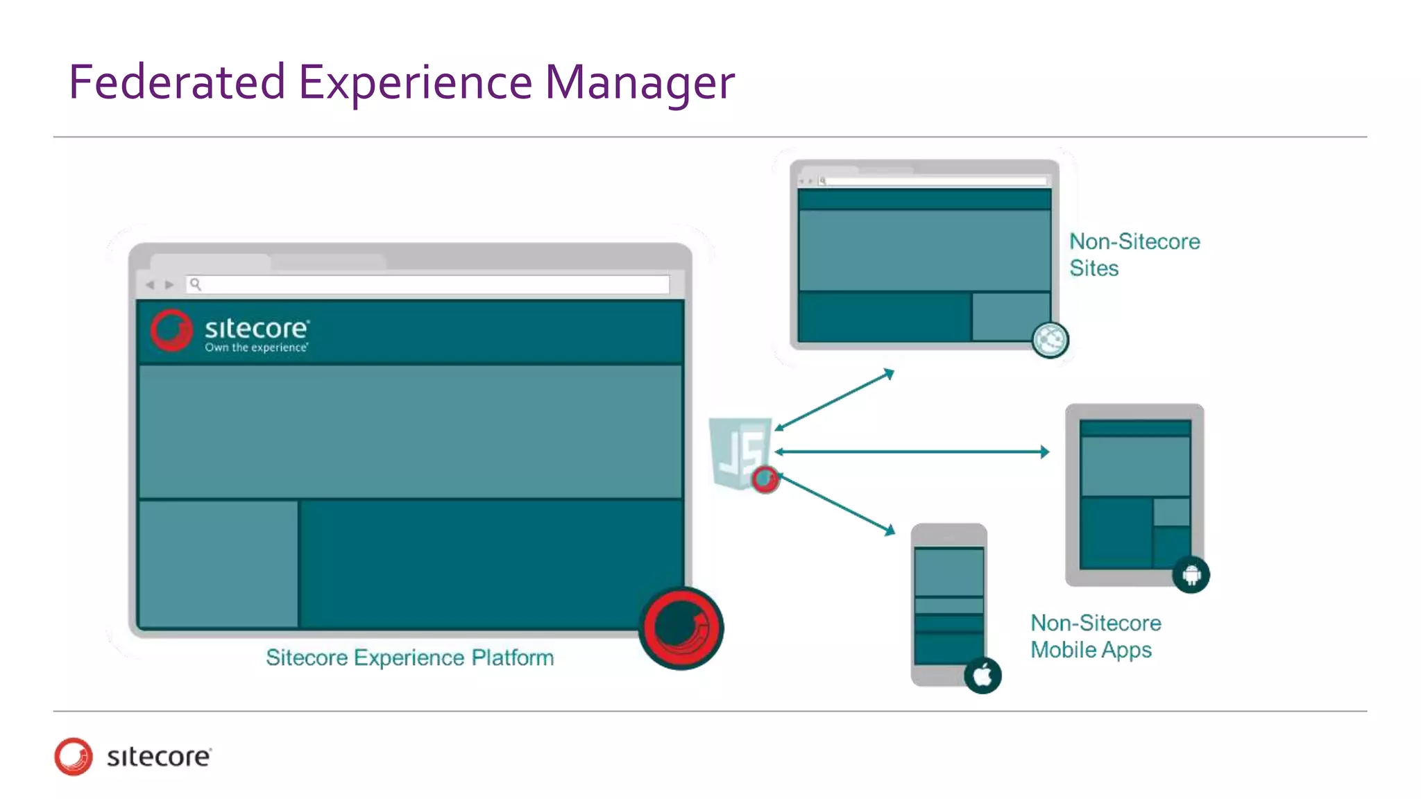 Federated Experience Manager
 