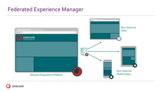 Federated Experience Manager
 