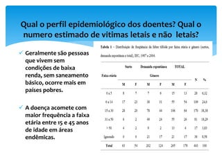 Qual o perfil epidemiológico dos doentes? Qual o
numero estimado de vitimas letais e não letais?
 Geralmente são pessoas
que vivem sem
condições de baixa
renda, sem saneamento
básico, ocorre mais em
países pobres.
 A doença acomete com
maior frequência a faixa
etária entre 15 e 45 anos
de idade em áreas
endêmicas.
 