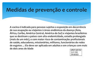 Medidas de prevenção e controle
A vacina é indicada para pessoas sujeitas a exposição em decorrência
de sua ocupação ou viajantes à áreas endêmicas da doença (Ásia,
África, Caribe, América Central, América do Sul) e viajantes brasileiros
que se destinam a países com alta endemicidade, estadia prolongada
(mais de um mês), e com maior risco de contaminação: profissionais
de saúde, educadores, missionários, militares, funcionários de redes
de esgotos ... Ela deve ser aplicada em adultos e em crianças com mais
de dois anos de idade
 