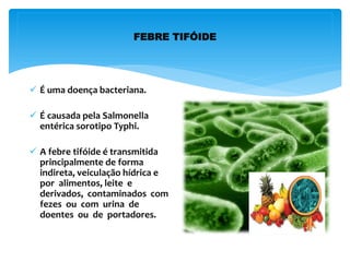 FEBRE TIFÓIDE
 É uma doença bacteriana.
 É causada pela Salmonella
entérica sorotipo Typhi.
 A febre tifóide é transmitida
principalmente de forma
indireta, veiculação hídrica e
por alimentos, leite e
derivados, contaminados com
fezes ou com urina de
doentes ou de portadores.
 