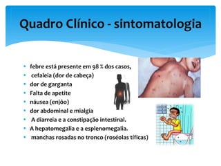  febre está presente em 98 % dos casos,
 cefaleia (dor de cabeça)
 dor de garganta
 Falta de apetite
 náusea (enjôo)
 dor abdominal e mialgia
 A diarreia e a constipação intestinal.
 A hepatomegalia e a esplenomegalia.
 manchas rosadas no tronco (roséolas tíficas)
Quadro Clínico - sintomatologia
 