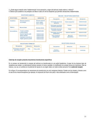 3. ¿Existe alguna relación entre “indeterminación” de la sensación y origen del estímulo (medio externo o interno)?
4. Deduce qué sucedería si se produjera una falla en cada uno de los receptores que permiten sensaciones indeterminadas.




Cada tipo de receptor presenta mecanismos transductores específicos

En el proceso de transducción la energía del estímulo es transformada en una señal bioeléctrica. A pesar de los diversos tipos de
receptores que existen, su estimulación produce siempre el mismo resultado: la modificación de canales iónicos de membrana. Esto se
traduce, a su vez, en cambios en el potencial de reposo en una región dada o en toda la célula sensorial. Es el potencial receptor.

En la figura 15 se esquematizan los mecanismos de transducción de cinco receptores distintos. Pueden ser tan simples y directos como
el caso de los mecanorreceptores (por ejemplo, el corpúsculo de Pacini de la piel) o más sofisticados como el fotorreceptor.




                                                                                                                                11
 