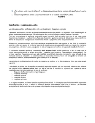 6. ¿Por qué crees que la imagen de la figura 13 se utiliza para diagnosticar problemas asociados al lenguaje? ¿cómo la usarías
         tú?
    7.   Selecciona alguna función cerebral que podría ser interesante de ser estudiada mediante TEP. Justifica
                                                                                     Figura 13



Vías aferentes y receptores sensoriales

Los sistemas sensoriales son fundamentales en la coordinación entre el organismo y el medio

Los sistemas sensoriales son conjuntos de órganos altamente especializados que permiten a los organismos captar una amplia gama de
señales provenientes del medio ambiente. Ello es fundamental para que dichos organismos puedan adaptarse a ese medio.
Pero, para los organismos es igualmente fundamental recoger información desde su medio interno con lo cual logran regular
eficazmente su homeostasis o equilibrio interno. Para estos fines existen igualmente sistemas de detectores que representan formas
distintas de receptores, con una organización morfofuncional diferente y que podemos llamar receptores sensitivos.

Ambos grupos grupos de receptores están ligados a sistemas sensoriales/sensitivos que presentan un plan similar de organización
funcional y ambos son capaces de transformar la energía de los estímulos en lenguaje de información que manejan los organismos
(señales químicas, potenciales locales y propagados). Es decir, ambos grupos de receptores son capaces de transducir información.

En cada sistema sensorial o sensitivo es fundamental la célula receptora. Es ella la célula transductora, es decir, la que es capaz de
traducir la energía del estímulo en señales reconocibles y manejables por el organismo. Esas señales son transportadas por vías
nerviosas específicas (haces de axones) para cada modalidad sensorial hasta los centros nerviosos. En estos, la llegada de esa
información provoca la sensación y su posterior análisis, por esos centros nerviosos, llevará a la percepción. La sensación y la
percepción son entonces, procesos íntimamente ligados a la función de los receptores.

Los estímulos son cambios detectados de niveles de energía que se producen en los distintos sistemas físicos que rodean a cada
organismo.

Cada variedad de estímulo solo es detectado en un estrecho rango de su espectro. Pero para ello ocurra, el estímulo debe presentar
una intensidad mínima (estímulo umbral). Pero más allá de ese nivel de intensidad los organismos son capaces de detectar
modalidades de un mismo tipo de estímulo: de color, de sonido, etc.
         Se pueden clasificar los receptores en grandes grupos:
    1. receptores mecánicos
    2. receptores químicos
    3. receptores térmicos
    4. receptores luminosos

En los órganos receptores, las células receptoras o prolongaciones de ellas, se han adaptado para reconocer en forma específica el
estímulo adecuado que las excita. En la figura 14, las flechas pequeñas indican los sitios donde actúan los estímulos y las mayores el
sentido del flujo de la información. Las zonas punteadas indican los sitios donde se produce la transducción.




                                                                                                                                    9
 