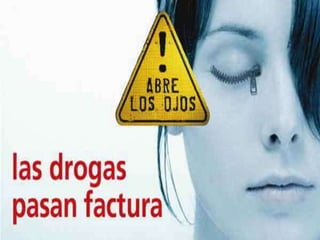 Efecte de les drogues sobre el organisme