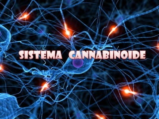 Sistema   Cannabinoide