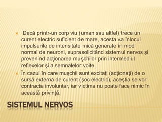 SISTEMUL NERVOS
 Dacă printr-un corp viu (uman sau altfel) trece un
curent electric suficient de mare, acesta va înlocui
impulsurile de intensitate mică generate în mod
normal de neuroni, suprasolicitând sistemul nervos şi
prevenind acţionarea muşchilor prin intermediul
reflexelor şi a semnalelor voite.
 În cazul în care muşchii sunt excitaţi (acţionaţi) de o
sursă externă de curent (şoc electric), aceştia se vor
contracta involuntar, iar victima nu poate face nimic în
această privinţă.
 
