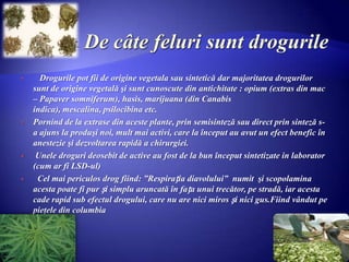  Drogurile pot fii de origine vegetala sau sintetică dar majoritatea drogurilor
sunt de origine vegetală şi sunt cunoscute din antichitate : opium (extras din mac
– Papaver somniferum), hasis, marijuana (din Canabis
indica), mescalina, psilocibina etc.
 Pornind de la extrase din aceste plante, prin semisinteză sau direct prin sinteză s-
a ajuns la produşi noi, mult mai activi, care la început au avut un efect benefic în
anestezie şi dezvoltarea rapidă a chirurgiei.
 Unele droguri deosebit de active au fost de la bun început sintetizate in laborator
(cum ar fi LSD-ul)
 Cel mai periculos drog fiind: ”Respirația diavolului” numit şi scopolamina
acesta poate fi pur și simplu aruncată în fața unui trecător, pe stradă, iar acesta
cade rapid sub efectul drogului, care nu are nici miros și nici gus.Fiind vândut pe
pieţele din columbia
 