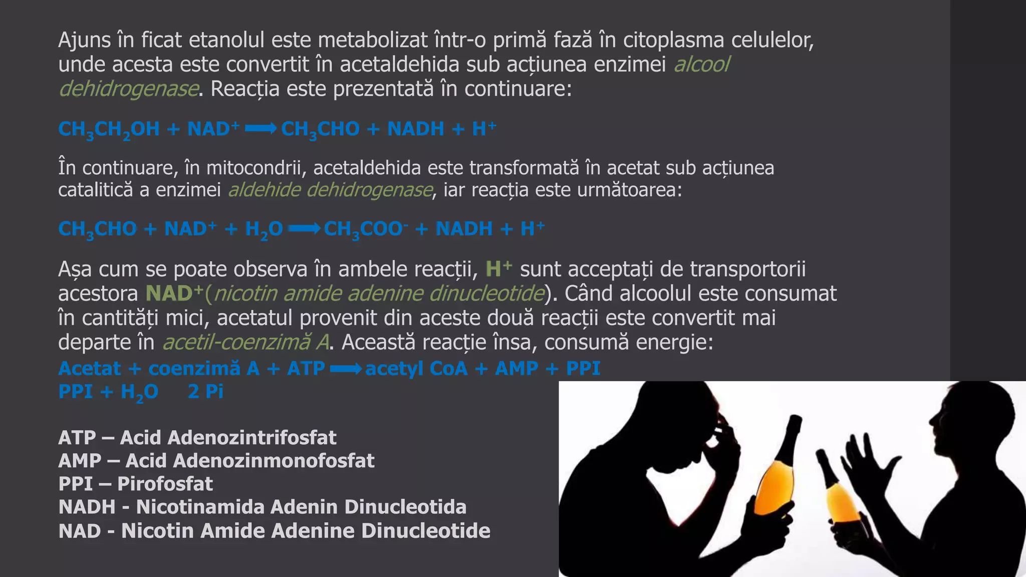 Ajuns în ficat etanolul este metabolizat într-o primă fază în citoplasma celulelor,
unde acesta este convertit în acetaldehida sub acțiunea enzimei alcool
dehidrogenase. Reacția este prezentată în continuare:
CH3CH2OH + NAD+ CH3CHO + NADH + H+
În continuare, în mitocondrii, acetaldehida este transformată în acetat sub acțiunea
catalitică a enzimei aldehide dehidrogenase, iar reacția este următoarea:
CH3CHO + NAD+ + H2O CH3COO- + NADH + H+
Așa cum se poate observa în ambele reacții, H+ sunt acceptați de transportorii
acestora NAD+(nicotin amide adenine dinucleotide). Când alcoolul este consumat
în cantități mici, acetatul provenit din aceste două reacții este convertit mai
departe în acetil-coenzimă A. Această reacție însa, consumă energie:
Acetat + coenzimă A + ATP acetyl CoA + AMP + PPI
PPI + H2O 2 Pi
ATP – Acid Adenozintrifosfat
AMP – Acid Adenozinmonofosfat
PPI – Pirofosfat
NADH - Nicotinamida Adenin Dinucleotida
NAD - Nicotin Amide Adenine Dinucleotide
 