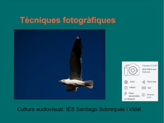 Tècniques fotogràfiques
Cultura audiovisual. IES Santiago Sobrequés i Vidal
 