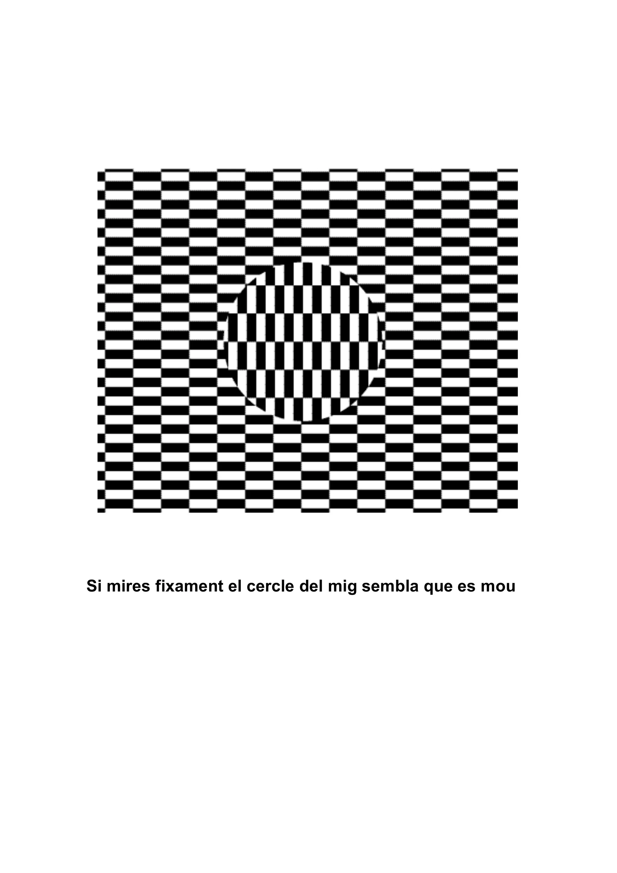 Si mires fixament el cercle del mig sembla que es mou
 