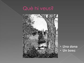 • Una dona
• Un bosc

 