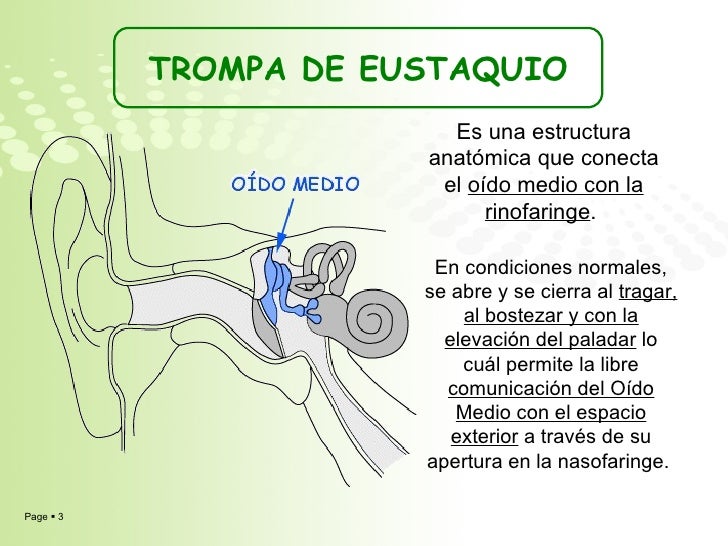 Efectividad de la red tub 23 810