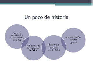 Un poco de historia