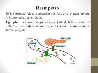 Reemplazo
Es la sustitución de una secreción que falta en el organismo por
la hormona correspondiente.
Ejemplo: Es la insulina que en el paciente diabético existe un
defecto en su producción por lo que es necesario administrar en
forma exógena.
 