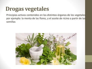 Drogas vegetales
Principios activos contenidos en los distintos órganos de los vegetales
por ejemplo: la menta de las flores, y el aceite de ricino a partir de las
semillas
 