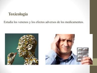 Toxicología
Estudia los venenos y los efectos adversos de los medicamentos.
 