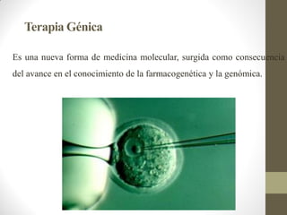 Terapia Génica
Es una nueva forma de medicina molecular, surgida como consecuencia
del avance en el conocimiento de la farmacogenética y la genómica.
 