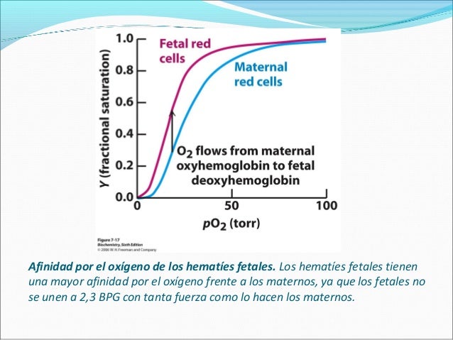 Efecto bohr