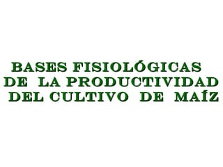 Bases fisiológicas
de la productividad
del cultivo de maíz
 