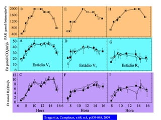 2/
                                                                2    Fn μmol CO2/m2/s PAR μmol fotones/m s
                                                  Et mmol H2O/m /s




Bragantia, Campinas, v.68, n.4, p.839-848, 2009
 