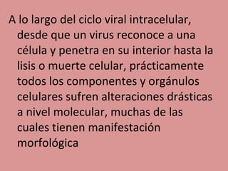 A lo largo del ciclo viral intracelular,
desde que un virus reconoce a una
célula y penetra en su interior hasta la
lisis o muerte celular, prácticamente
todos los componentes y orgánulos
celulares sufren alteraciones drásticas
a nivel molecular, muchas de las
cuales tienen manifestación
morfológica
 