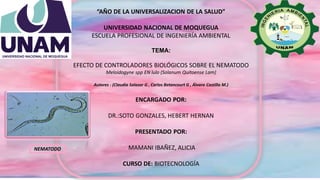 “AÑO DE LA UNIVERSALIZACION DE LA SALUD”
UNIVERSIDAD NACIONAL DE MOQUEGUA
ESCUELA PROFESIONAL DE INGENIERÍA AMBIENTAL
TEMA:
EFECTO DE CONTROLADORES BIOLÓGICOS SOBRE EL NEMATODO
Meloidogyne spp EN lulo (Solanum Quitoense Lam)
Autores : (Claudia Salazar G , Carlos Betancourt G , Álvaro Castillo M.)
ENCARGADO POR:
DR.:SOTO GONZALES, HEBERT HERNAN
PRESENTADO POR:
MAMANI IBAÑEZ, ALICIA
CURSO DE: BIOTECNOLOGÍA
NEMATODO
 