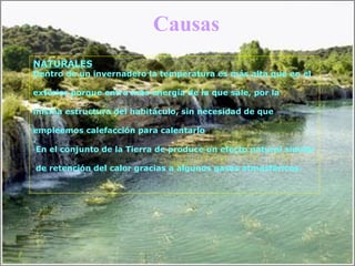 Causas
NATURALES
Dentro de un invernadero la temperatura es más alta que en el
exterior porque entra más energía de la que sale, por la
misma estructura del habitáculo, sin necesidad de que
empleemos calefacción para calentarlo
.
En el conjunto de la Tierra de produce un efecto natural similar
de retención del calor gracias a algunos gases atmosféricos.
 