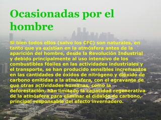 Ocasionadas por el
hombre
Si bien todos ellos (salvo los CFC) son naturales, en
tanto que ya existían en la atmósfera antes de la
aparición del hombre, desde la Revolución Industrial
y debido principalmente al uso intensivo de los
combustibles fósiles en las actividades industriales y
el transporte, se han producido sensibles incrementos
en las cantidades de óxidos de nitrógeno y dióxido de
carbono emitidas a la atmósfera, con el agravante de
que otras actividades humanas, como la
deforestación, han limitado la capacidad regenerativa
de la atmósfera para eliminar el dióxido de carbono,
principal responsable del efecto invernadero.
 