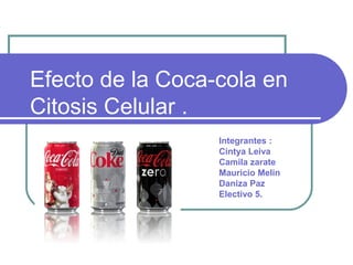 Efecto de la Coca-cola en
Citosis Celular .
                  Integrantes :
                  Cintya Leiva
                  Camila zarate
                  Mauricio Melin
                  Daniza Paz
                  Electivo 5.
 