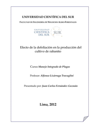 UNIVERSIDAD CIENTÍFICA DEL SUR
FACULTAD DE INGENIERÍA DE NEGOCIOS AGRO-FORESTALES
                  ………..……




Efecto de la defoliación en la producción del
           cultivo de rabanito



         Curso: Manejo Integrado de Plagas… … … …
                         …….……

         Profesor: Alfonso Lizárraga Travaglini



   Presentado por: Juan Carlos Fernández Guzmán




                 Lima, 2012


                                                     1
 